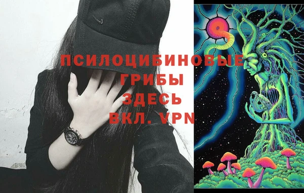 mix Зеленокумск